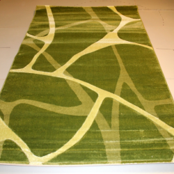 Синтетичний килим Friese Gold 2014 green  - Висока якість за найкращою ціною в Україні